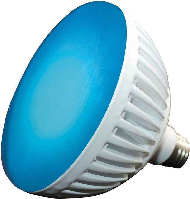 305526456.jpg