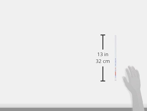 305526576.jpg