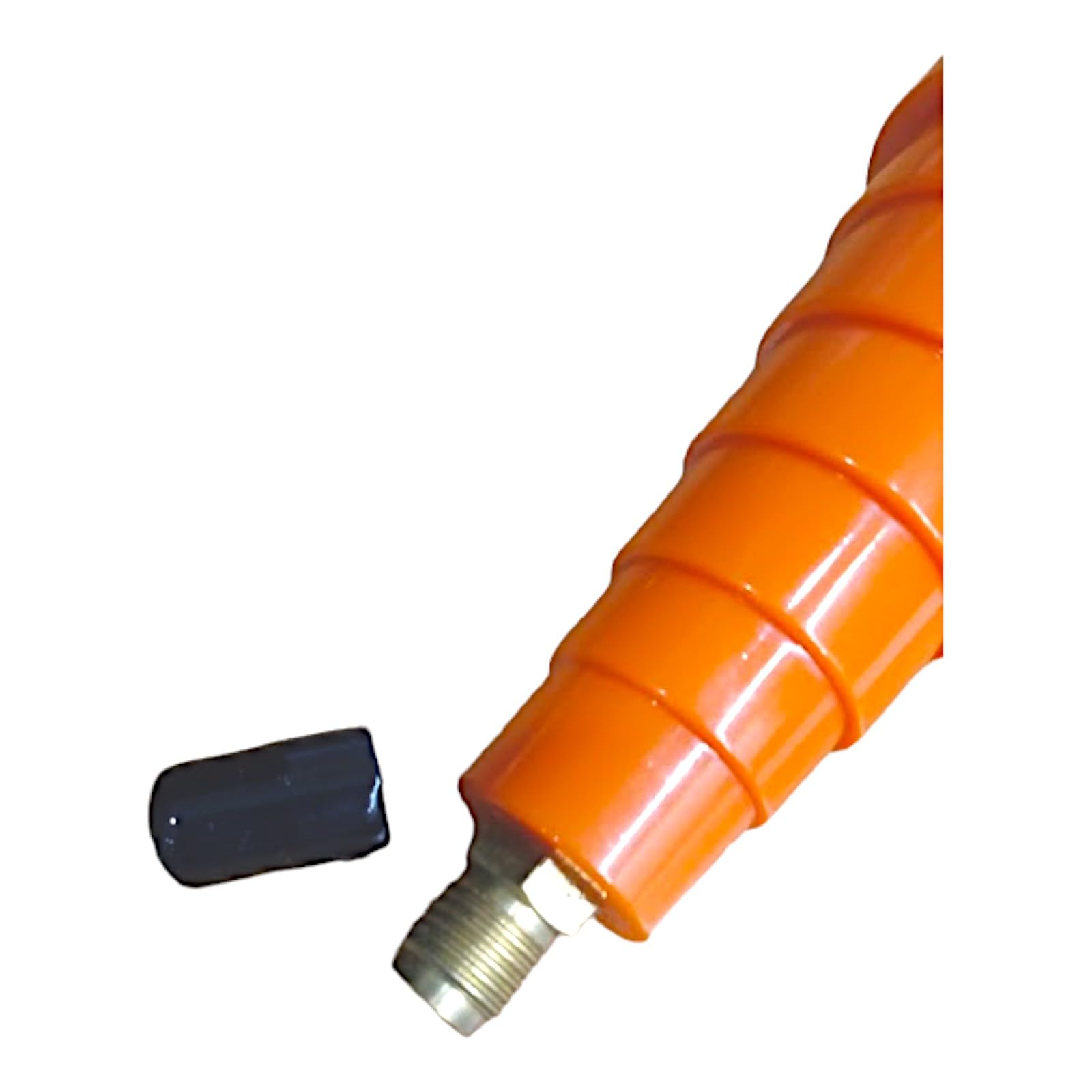 305527817.jpg