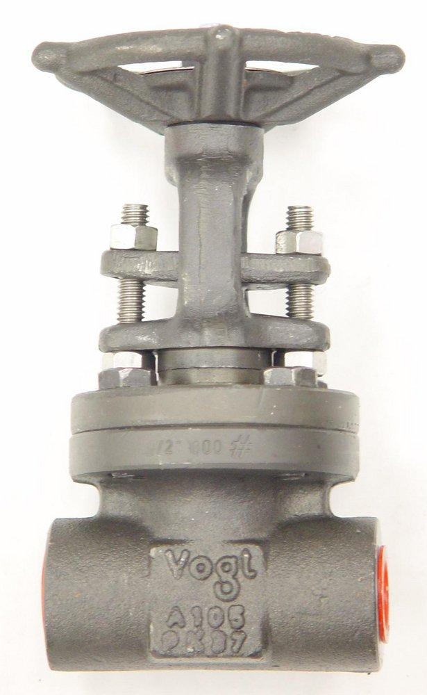 305528006.jpg