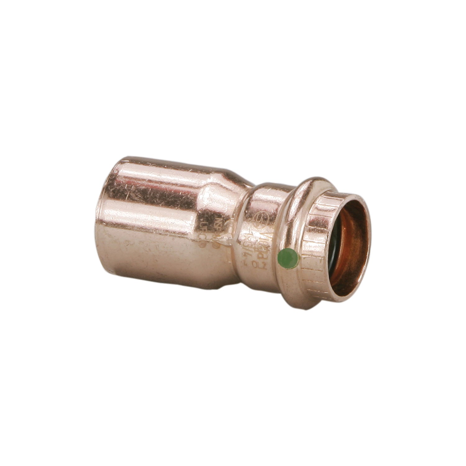 305528010.jpg