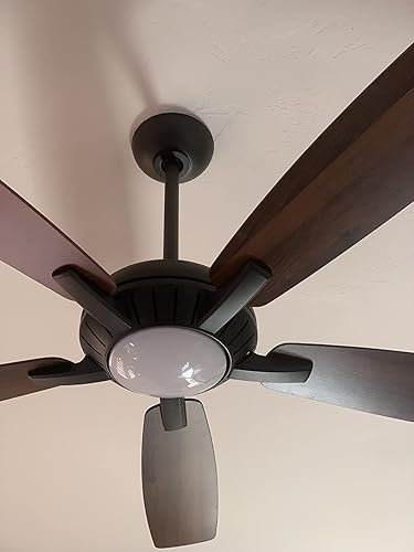 305529755.jpg