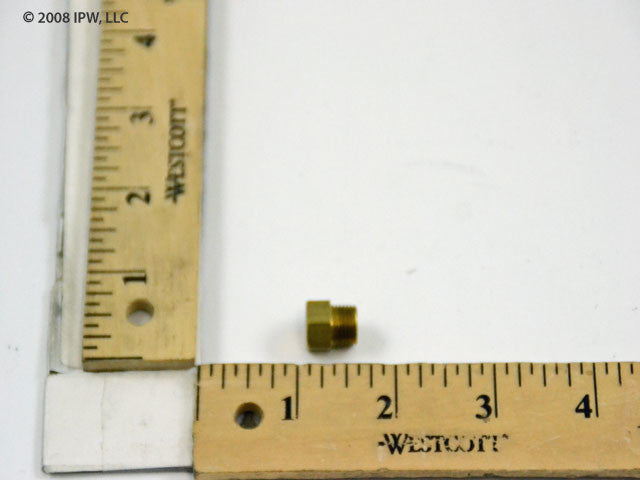 305531234.jpg