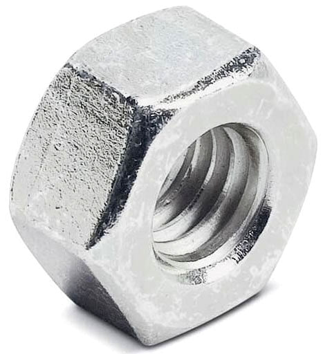 305533042.jpg