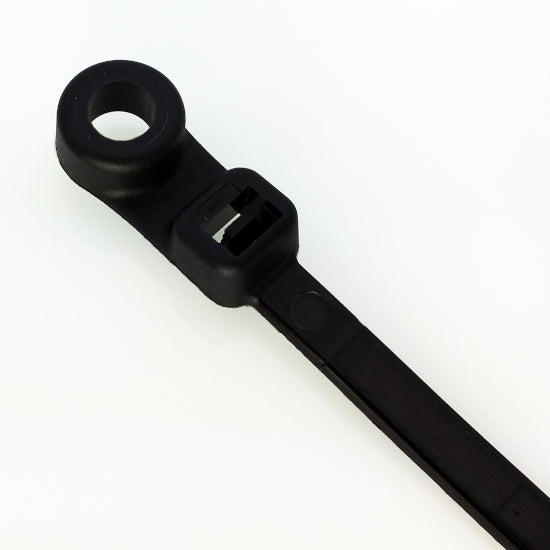 305533504.jpg