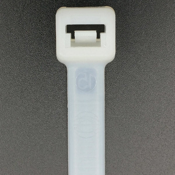 305533518.jpg
