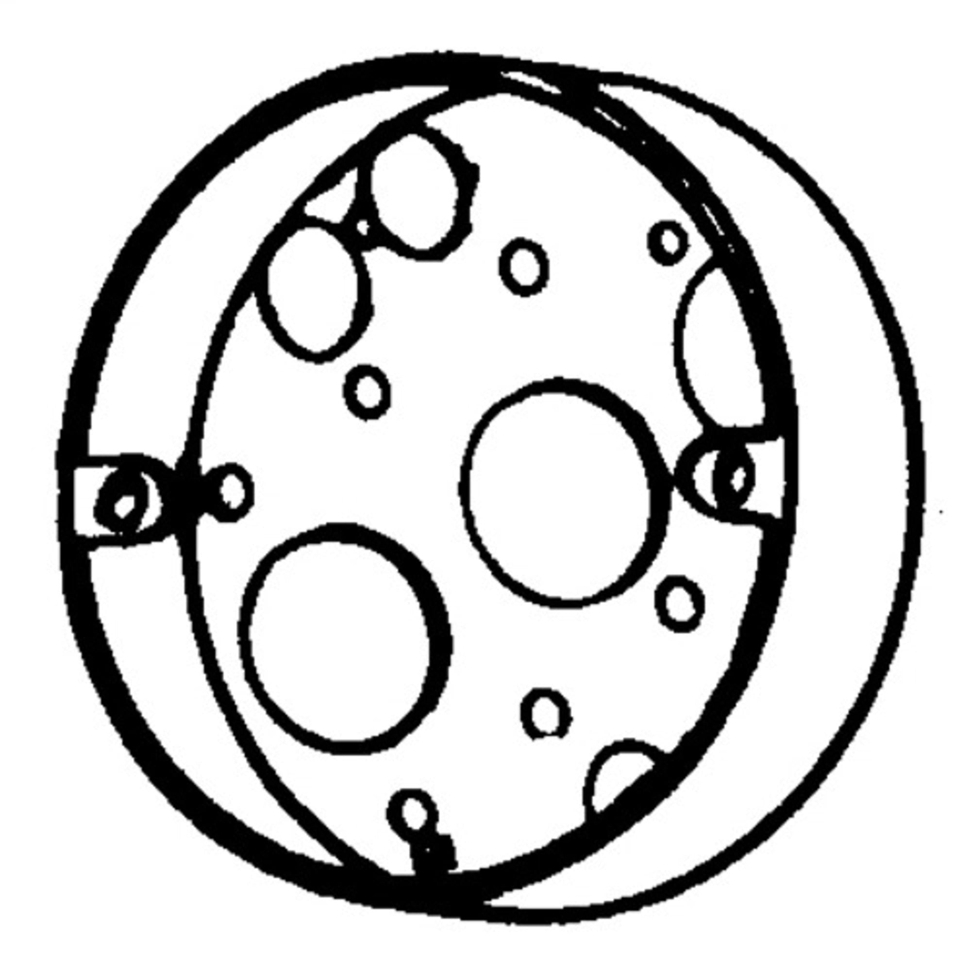 305950643.jpg