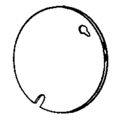 305950802.jpg