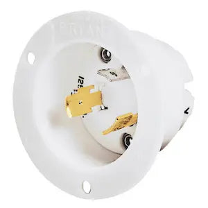 305953092.webp