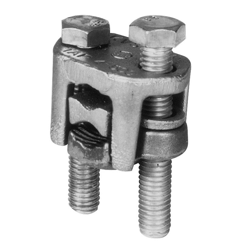 305954419.jpg