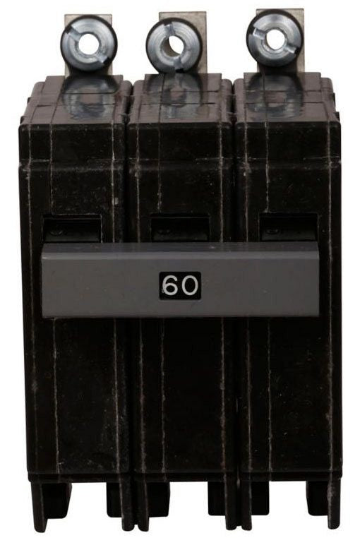 305956218.jpg