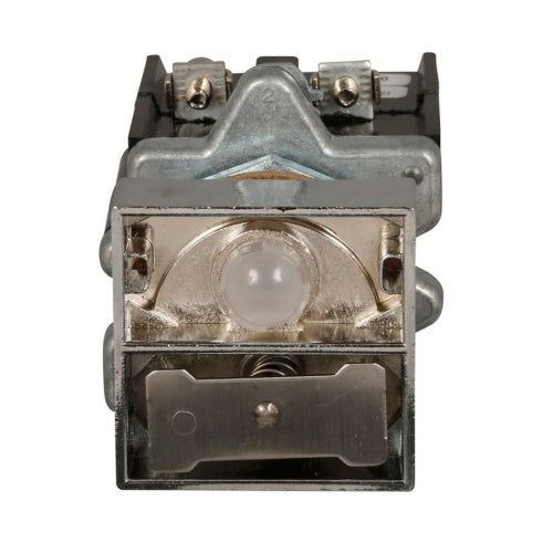 305956437.jpg