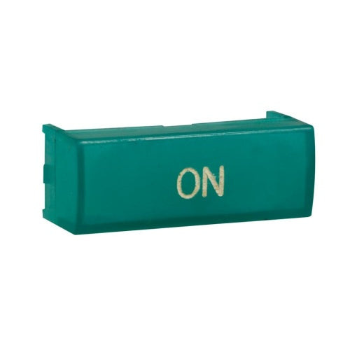 305957209.jpg