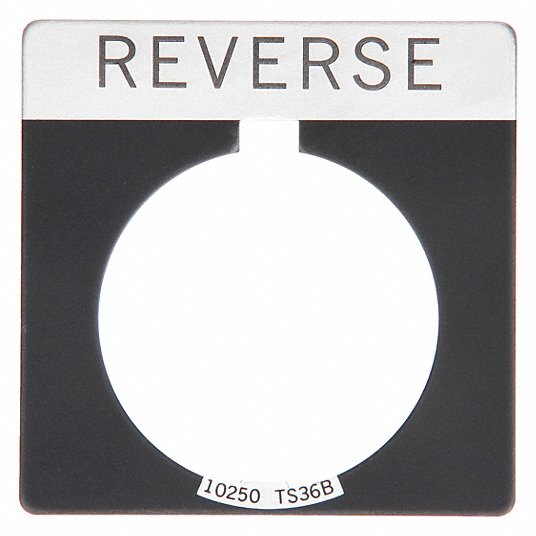 305958436.jpg