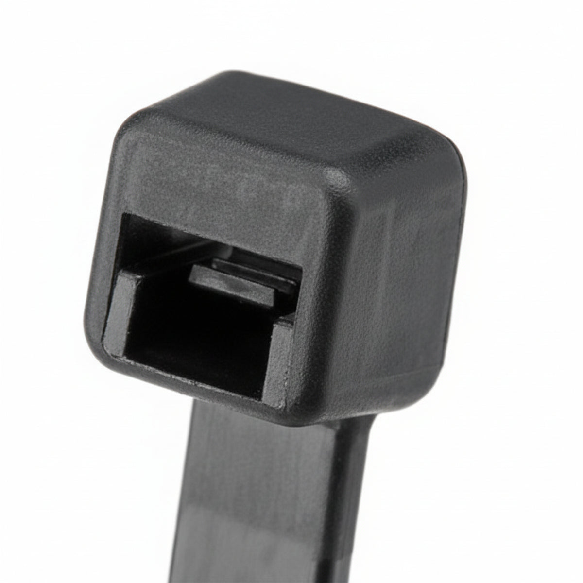 305961191.jpg