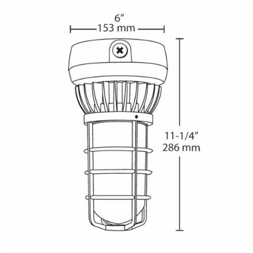 305961410.jpg