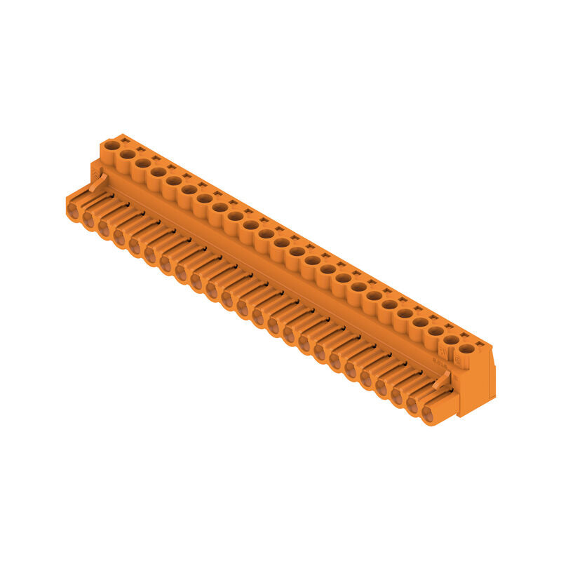 305963077.jpg