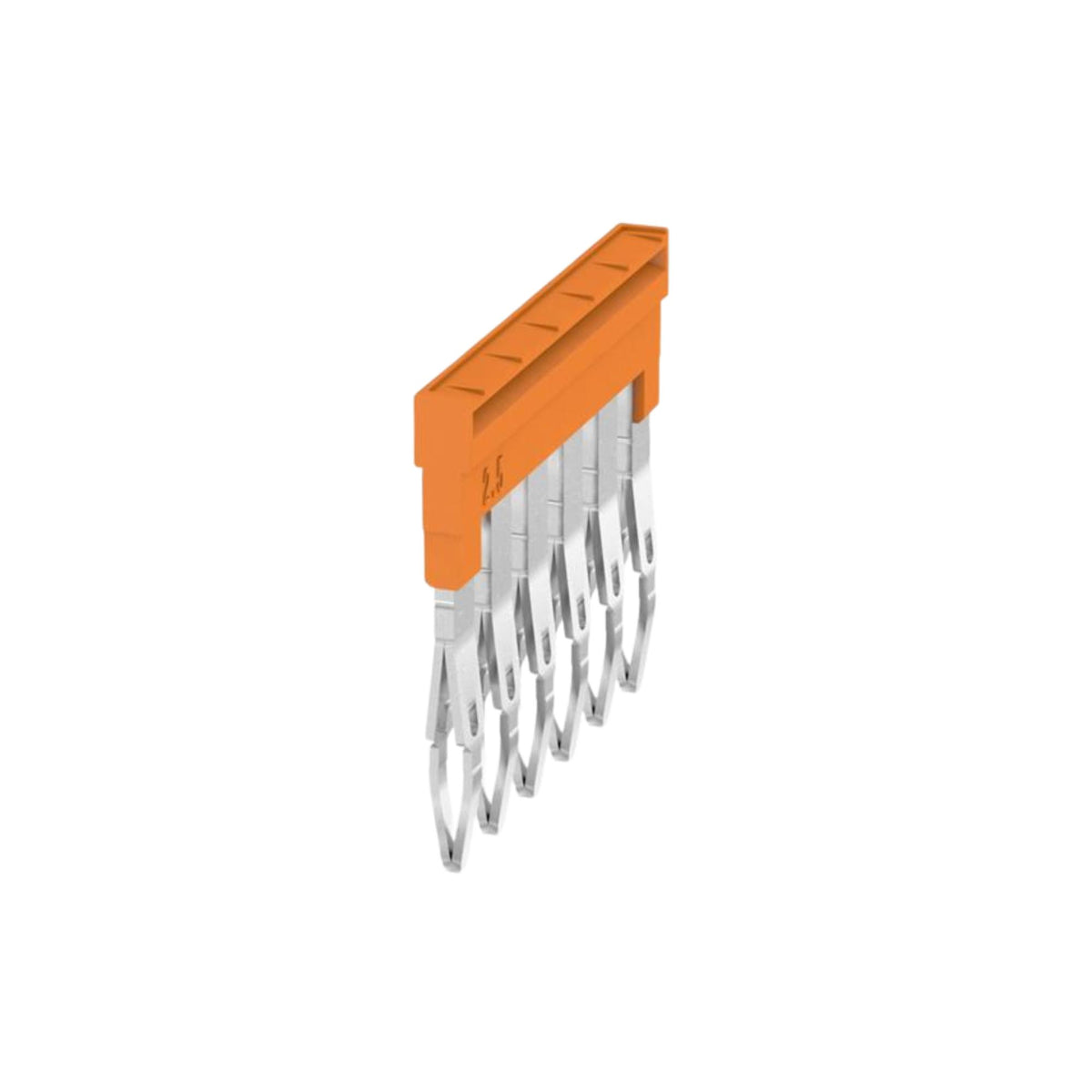 305963323.jpg