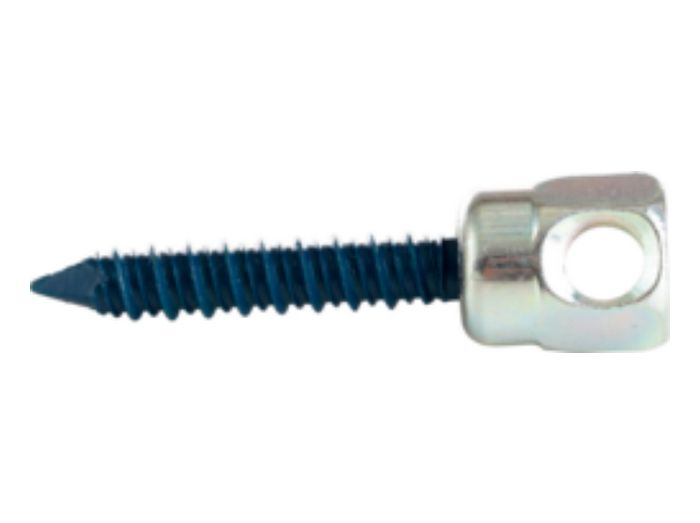 305968872.jpg
