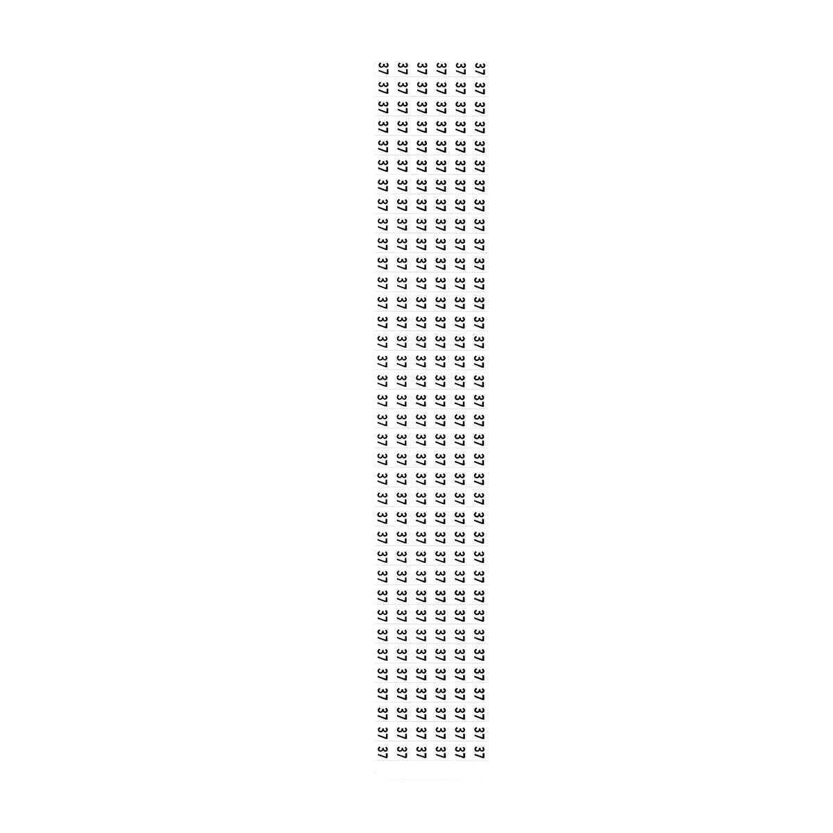 305969498.jpg