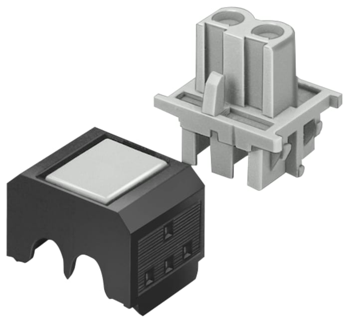 305973130.jpg