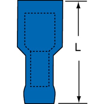 305974004.jpg