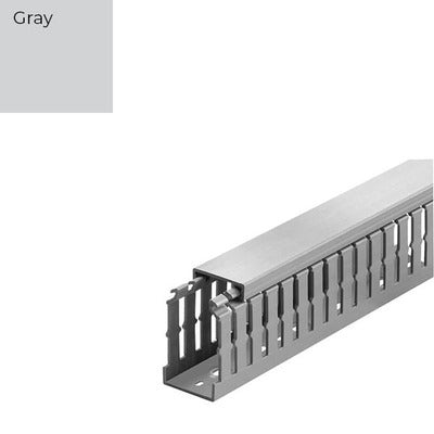 305974855.jpg