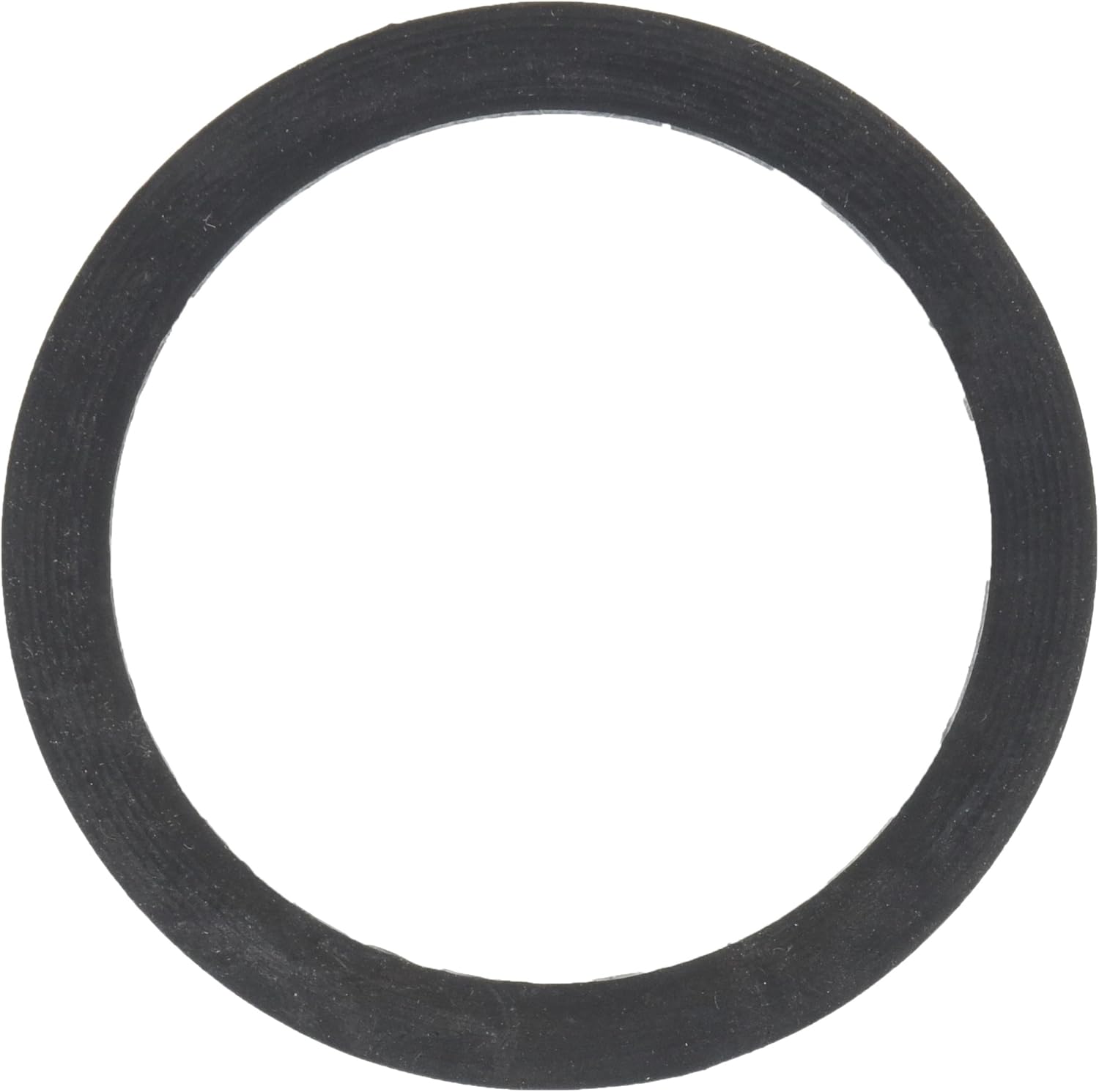305977556.jpg
