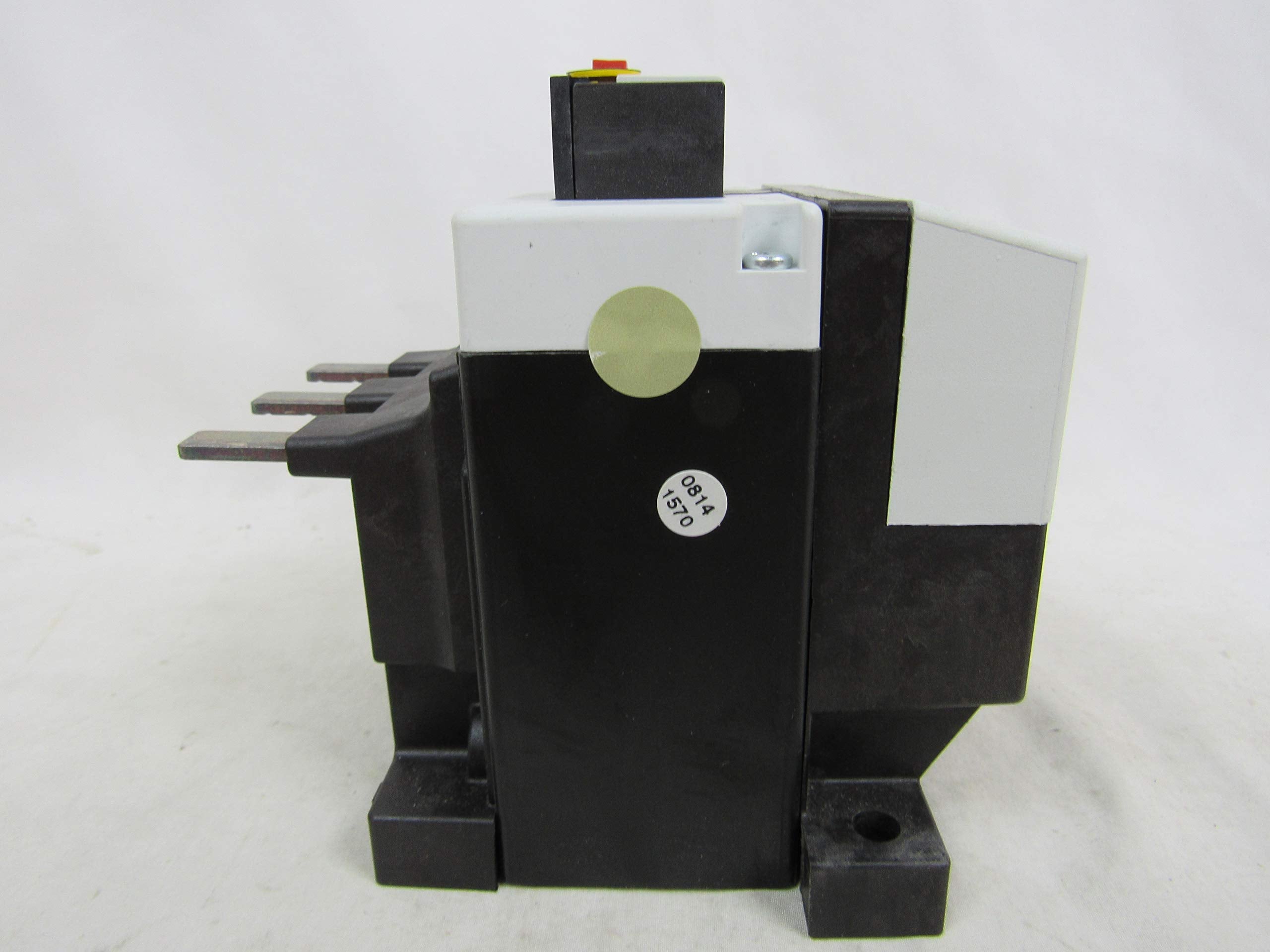 305978254.jpg