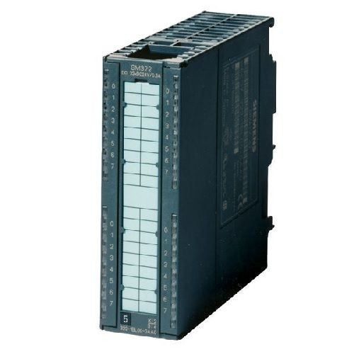 305981173.jpg