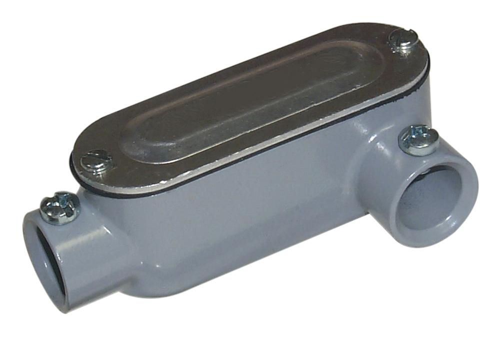 305983263.jpg