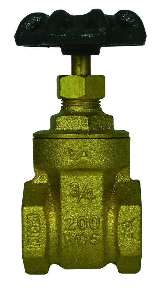 305985080.jpg
