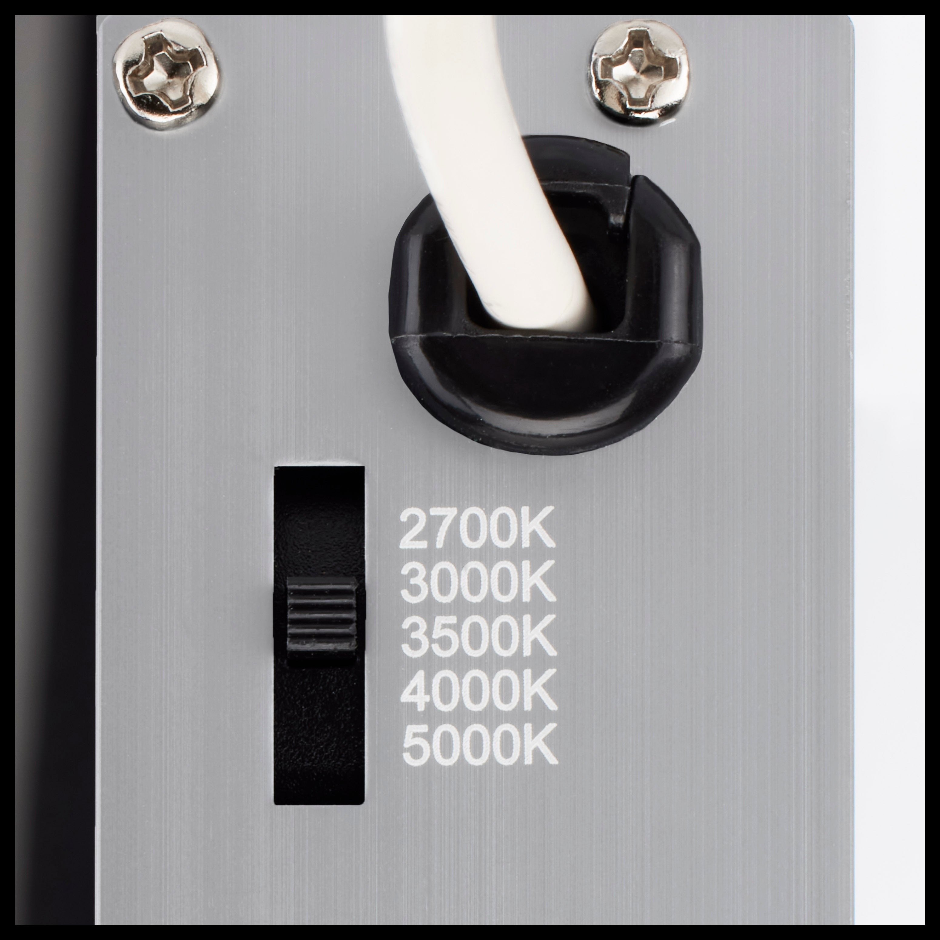 307136985.jpg