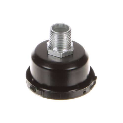 307148159.jpg