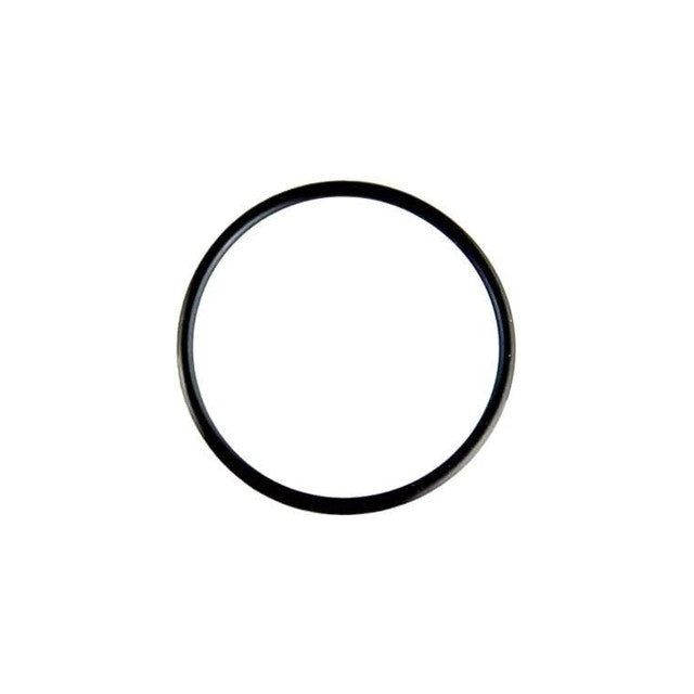 307148699.jpg