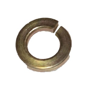 307161664.jpg