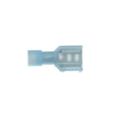 307610262.webp