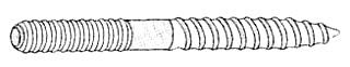 307614447.jpg