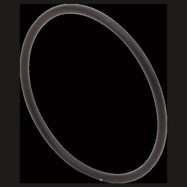 307615535.jpg