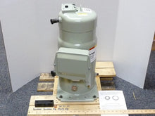 307616706.jpg