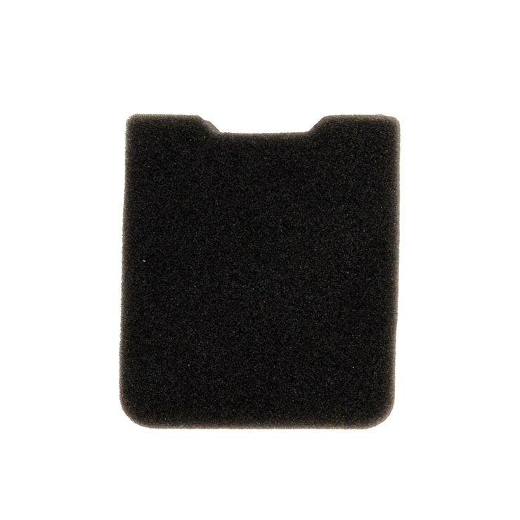 307617516.jpg