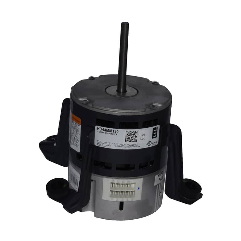 307625893.jpg