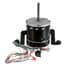 307625999.jpg