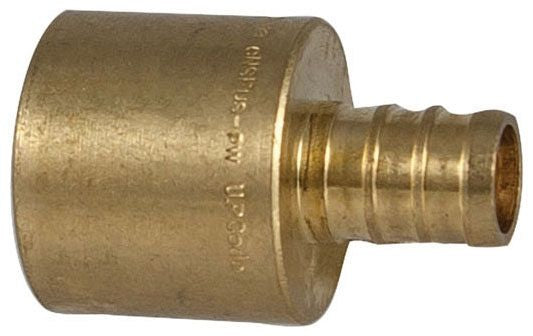 307633544.jpg