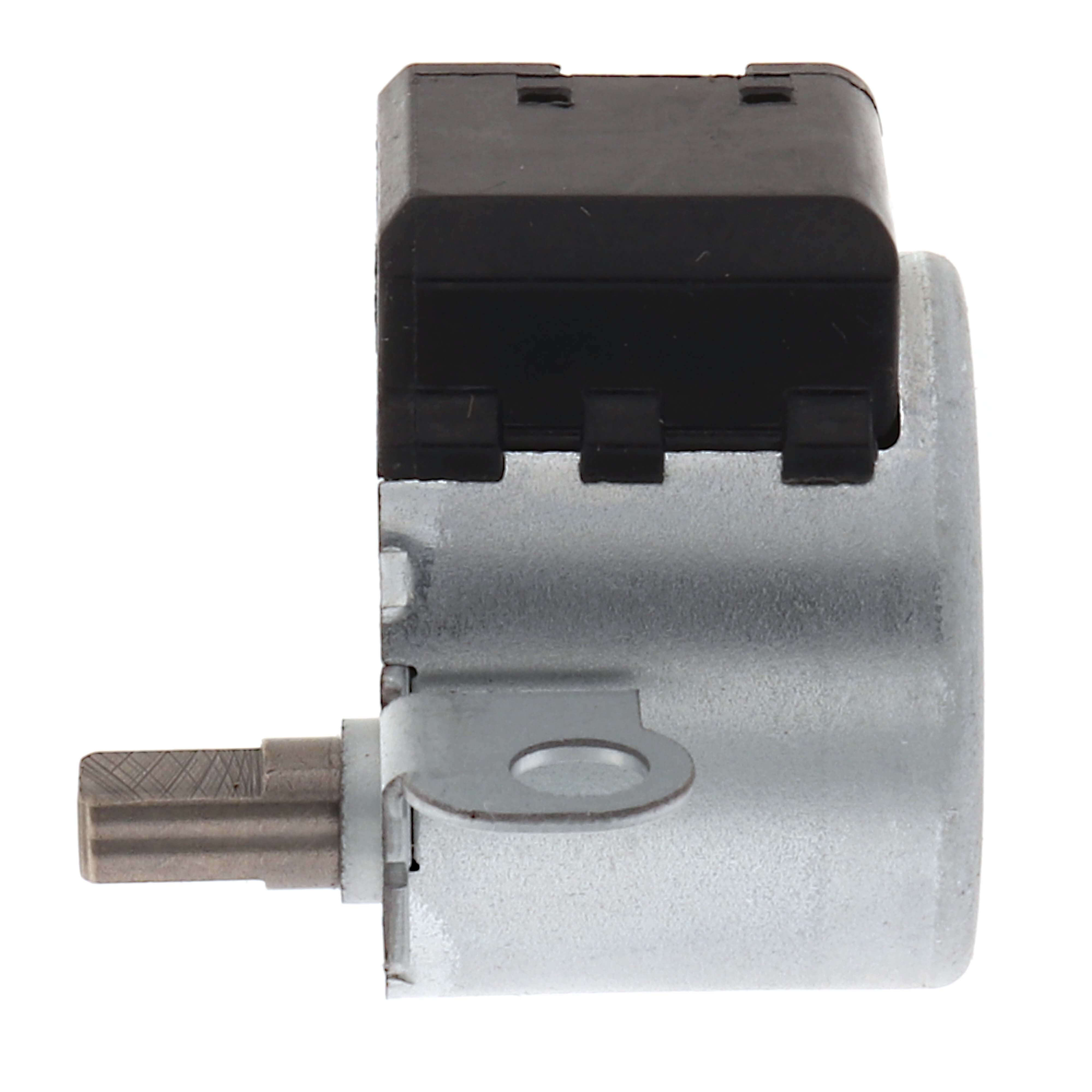 308897482.jpg