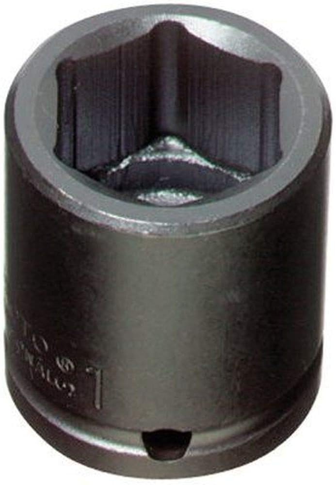 308901128.jpg