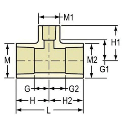 308901517.jpg