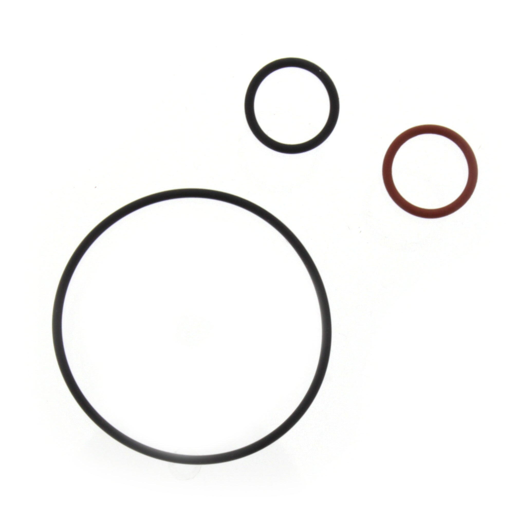 308901688.jpg