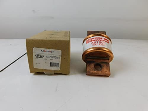 308904915.jpg