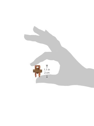 308905157.jpg